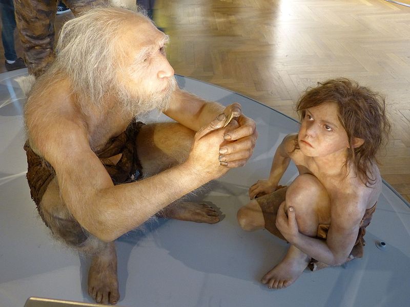 Tập tin:NHM - Neandertaler Modell 1.jpg