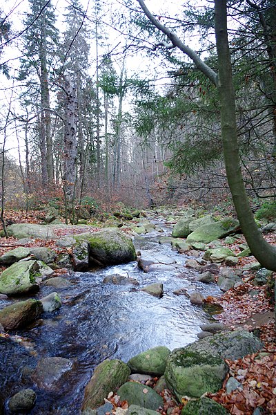 File:NP Harz - Ilse (11).jpg