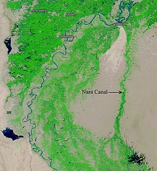 <span class="mw-page-title-main">Nara Canal</span> Canal in Pakistan