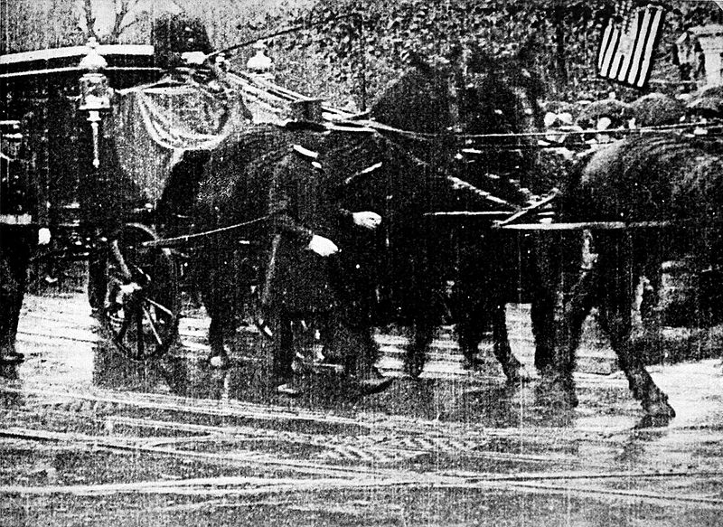 File:Newsreel-McKinley-Funeral-Procession.jpg