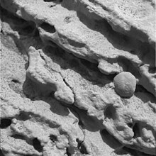 Close-up of a rock outcrop. Opportunity photo of Mars outcrop rock.jpg
