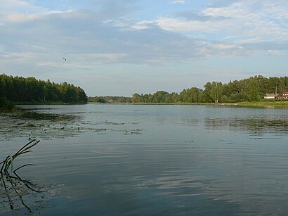 Kuidas ühistranspordiga sihtpunkti Orava Järv jõuda - kohast