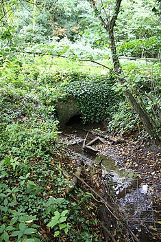 The Osse Stream near Besselsleigh Osse Stream near Besselsleigh.jpg