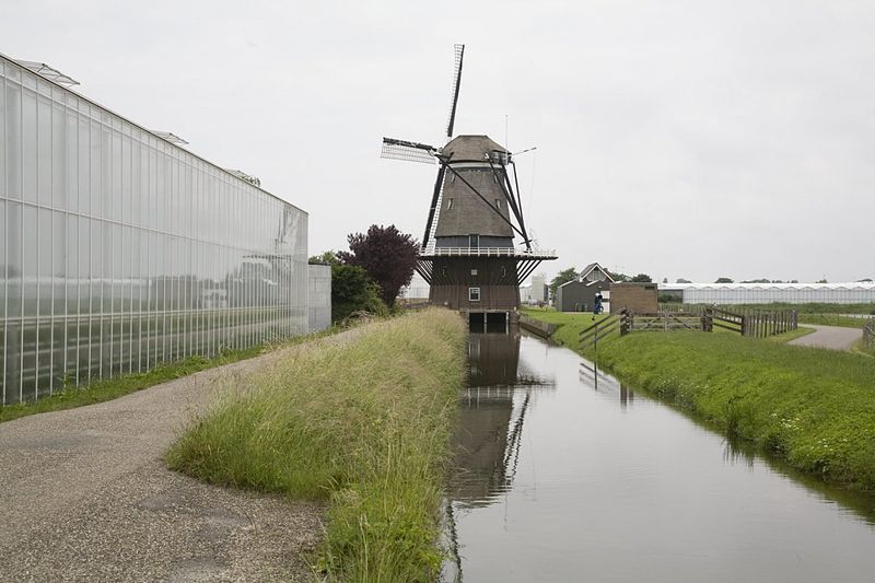 File:Overzicht van de achterkant - Hoek van Holland - 20421218 - RCE.jpg