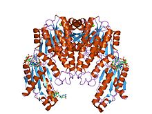 PDB 1w25 EBI.jpg