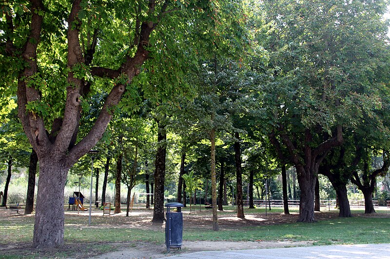 File:Parco Albereta (Dicomano) 01.jpg