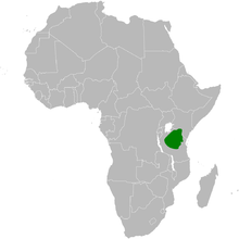 Parus fringillinus distribuzione map.png