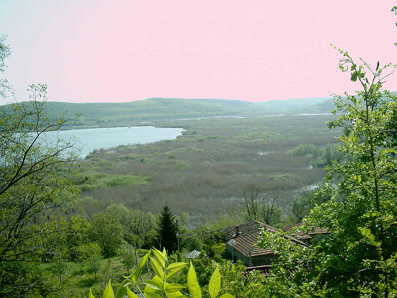 Pelican area Silistra.jpg