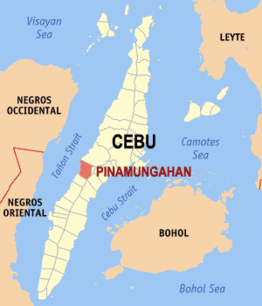 Kaart van Pinamungajan
