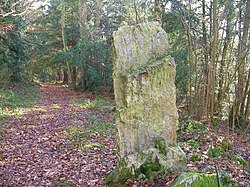 Imagen ilustrativa del artículo Menhir de la Roche Pique (Saint-Germain-le-Vasson)