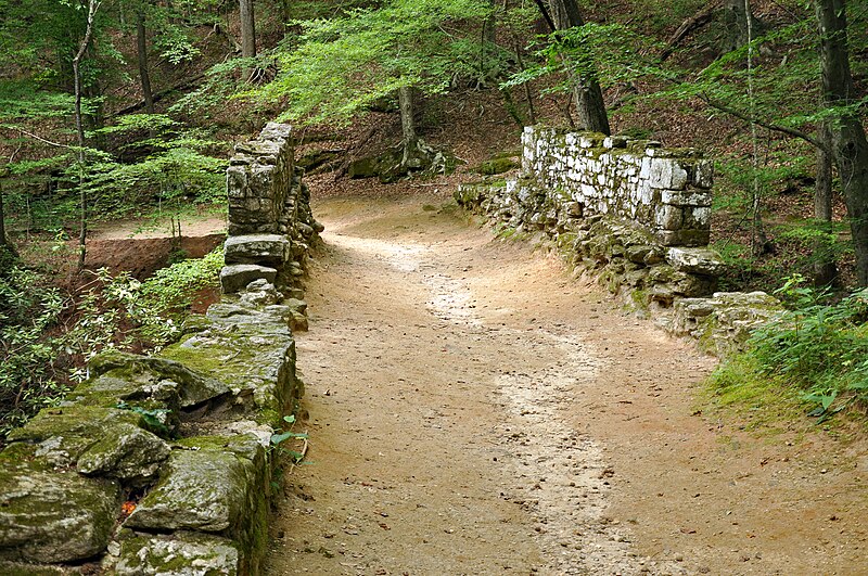 File:Poinsett Bridge - Road bed.jpg