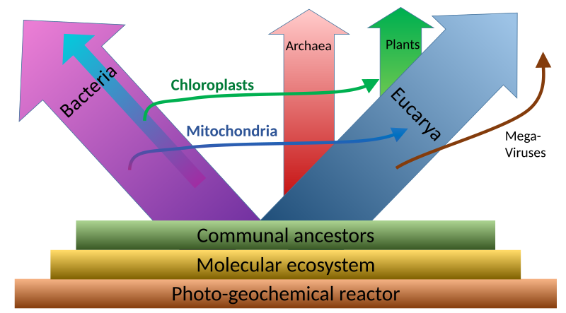 File:Primordial biogenesis.svg