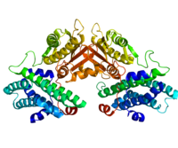 Imagem ilustrativa do artigo Piruvato desidrogenase quinase