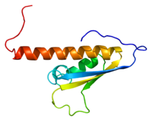 Protein TDRKH PDB 1we8.png