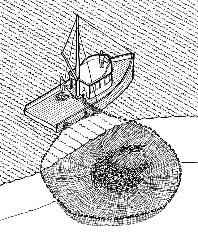 Bottom Trawling and Seining Harm The Inshore Fishery - The Fishing Website