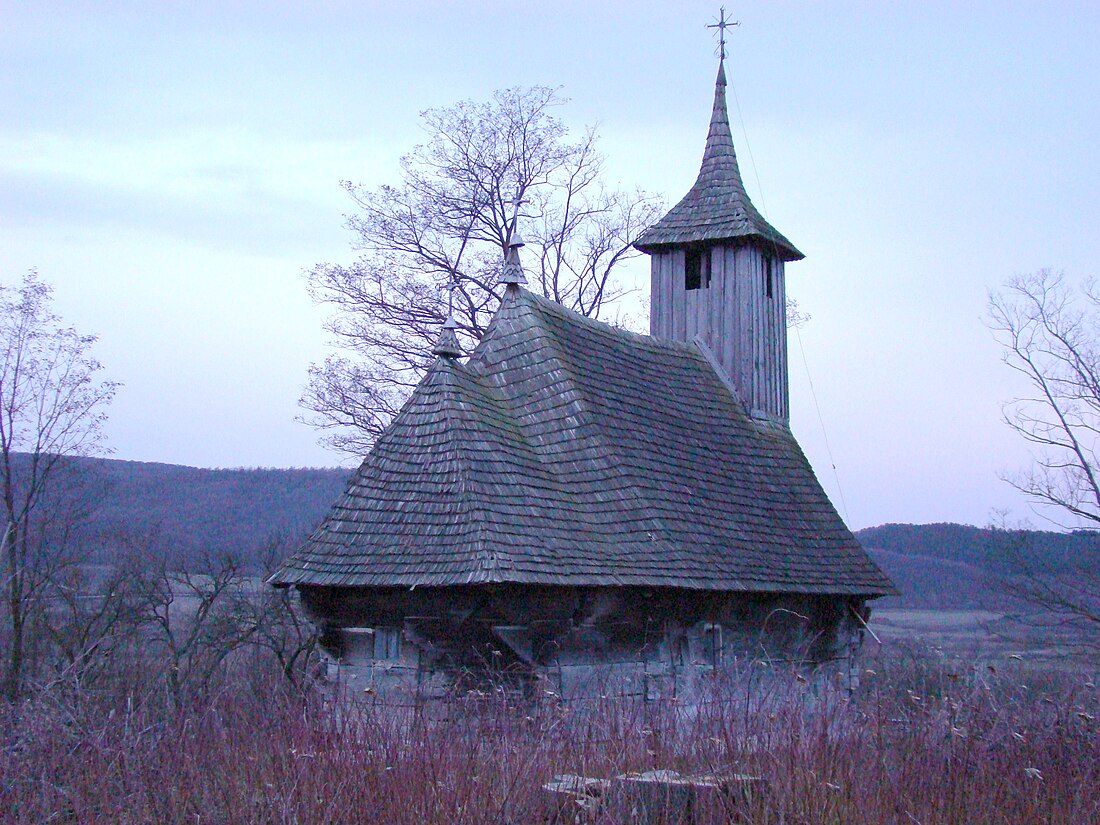 Copăceni (lungsod sa Romaniya, Bihor)