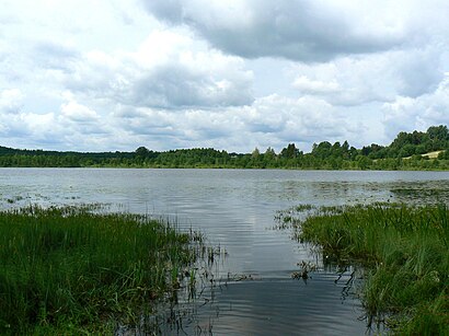 Kuidas ühistranspordiga sihtpunkti Rautina järv jõuda - kohast