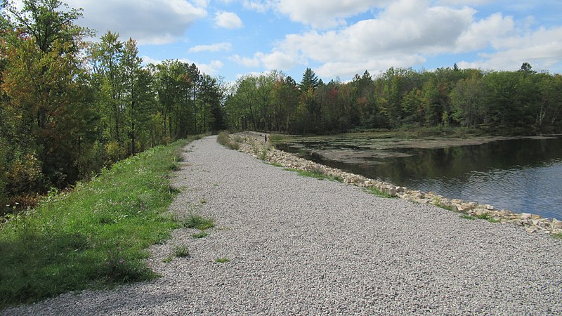 File:Reedsburg Dam embankment (Michigan).jpg