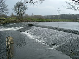 River Ecosystem