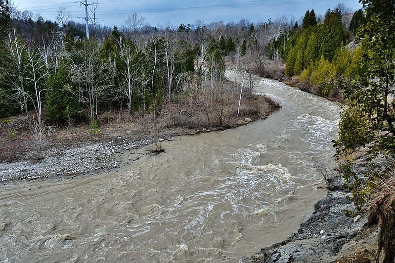 File:Rouge NUP Little Rouge Creek3.jpg