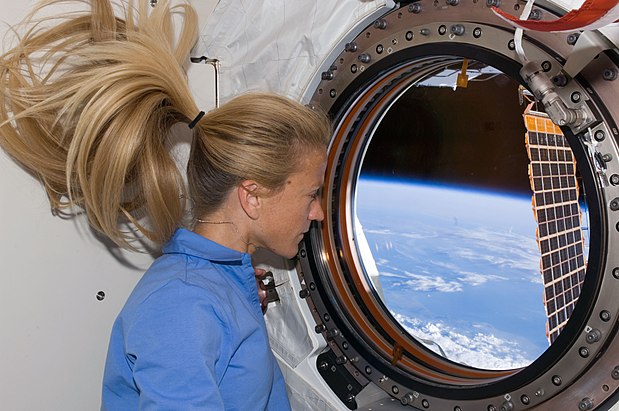 619px-STS-124_Karen_window.jpg