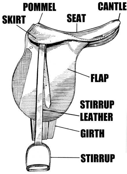 File:Saddle (PSF).png