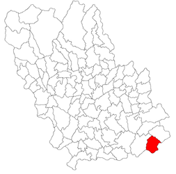 Sălciile - Carte