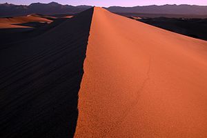 Big desert. Большой брат пустыня. Big Desert салфетка.