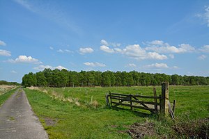 Schleswig-Holstein, Vaale, Vaaler Moor NIK 0380.JPG