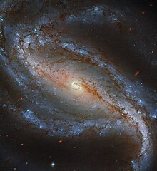 Hubble image of NGC 613 showing the prominent bar and loosely wound arms Sculpted in Sculptor.jpg