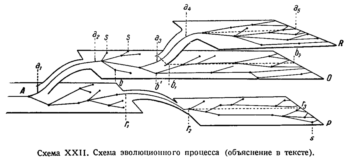 Механизм эволюции схема