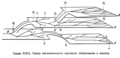 Diagram, showing the modes of the evolutionary process: aromorphosis (a), idioadaptation (b), and general degeneration (r). From Sewertzoff, Nikolai A. Morfologicheskie zakonomernosti evoliutsii. (Morphological principles of evolution) Moscow—Leningrad, Acad. Sci., 1939. 610 p. Diagram XXII at the p. 330.