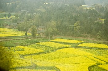 This picture was taken during a train ride fro...