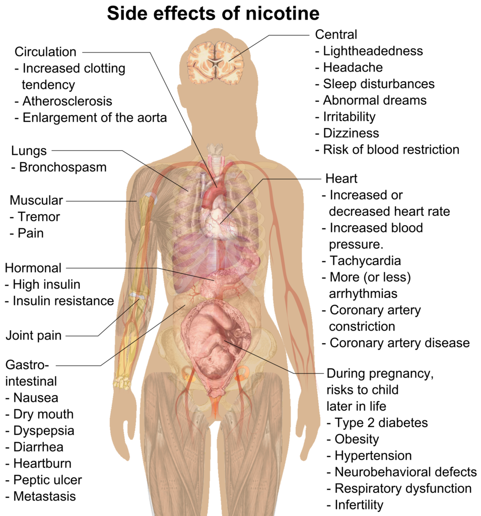 What are some examples of neurobehavioral effects?