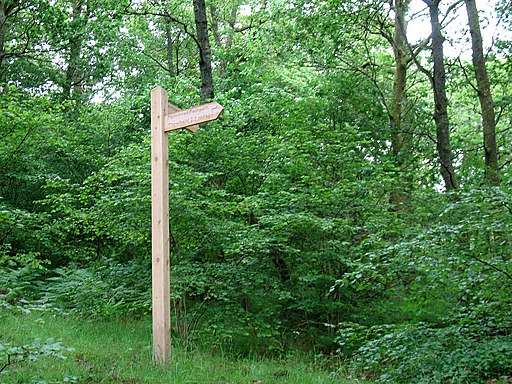 Signpost in Brundholme Wood - geograph.org.uk - 2478755