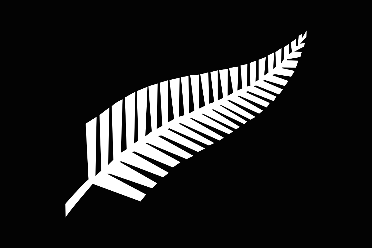Image result for silver fern nz