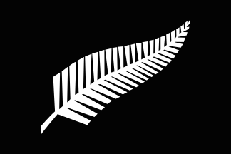 324px-Silver_fern_flag.svg.png