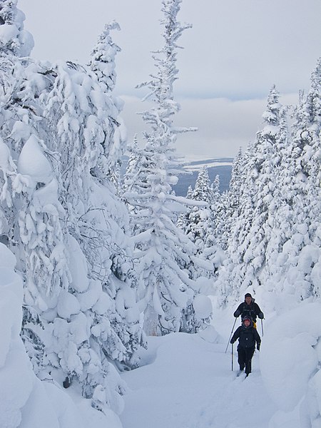 File:Ski dans les Chic-Chocs.jpeg