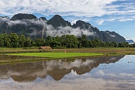 Parcelle carrée de rizière verte et reflet des montagnes dans l'eau avec de la brume et du ciel bleu, dans la campagne de Vang Vieng.