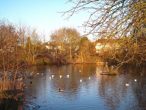 List of Local Nature Reserves in Surrey