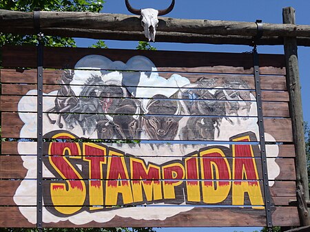 Stampida PortAventura