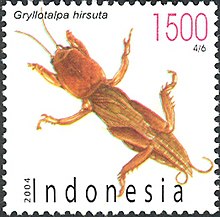 Stamps of Indonesia, 077-04.jpg