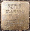 Stolperstein Rothenbaumchaussee 239 (Pauline Samuelsohn) in Hamburg-Harvestehude.JPG