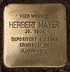 Stolperstein Westfälische Str 70 (Halsee) Herbert Mayer.jpg