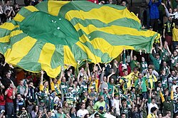 Crowd at stadium waving a giant flag with yellow and green lines fanning out from a central green circle