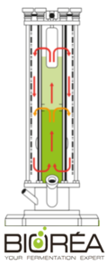 Movement of the liquide by injection of compressed air for micro-organism cultivation in the CiYOU, bioreactor from Biorea Technologie Airlift 01.png