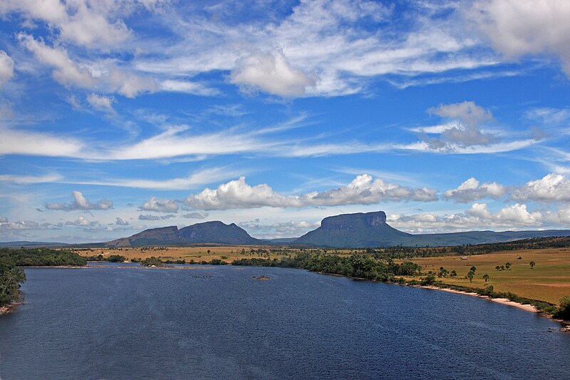 File:Tepui in Canaima from plane.jpg