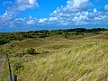 Texel - Nature Reserve 'De Muy' - August 2008 Situation before revitalisation 03.jpg