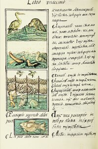 The Florentine Codex- Birds and Fish.tif
