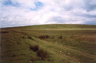 <span class="mw-page-title-main">Mynydd Bach Trecastell</span> Hill in south-west Wales